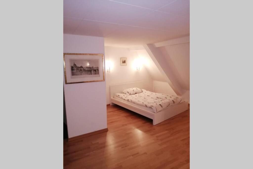 Studio F Am Barfusserplatz Central Old Town Lejlighed Basel Eksteriør billede
